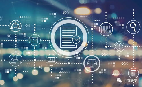 市科创中心深入市北园区，为网络技术研发企业送政策解疑惑